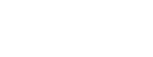 logo horizontal light wt gioco plus v