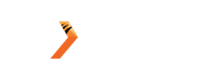 logo horizontal light wt next spin